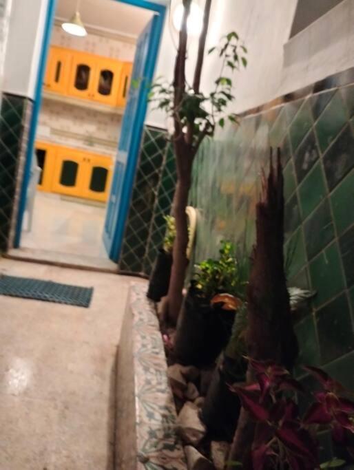 Coup De Coeur A Sidi Bou Said Villa Kültér fotó
