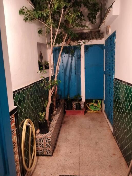 Coup De Coeur A Sidi Bou Said Villa Kültér fotó